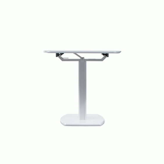 2396_table_6.gif