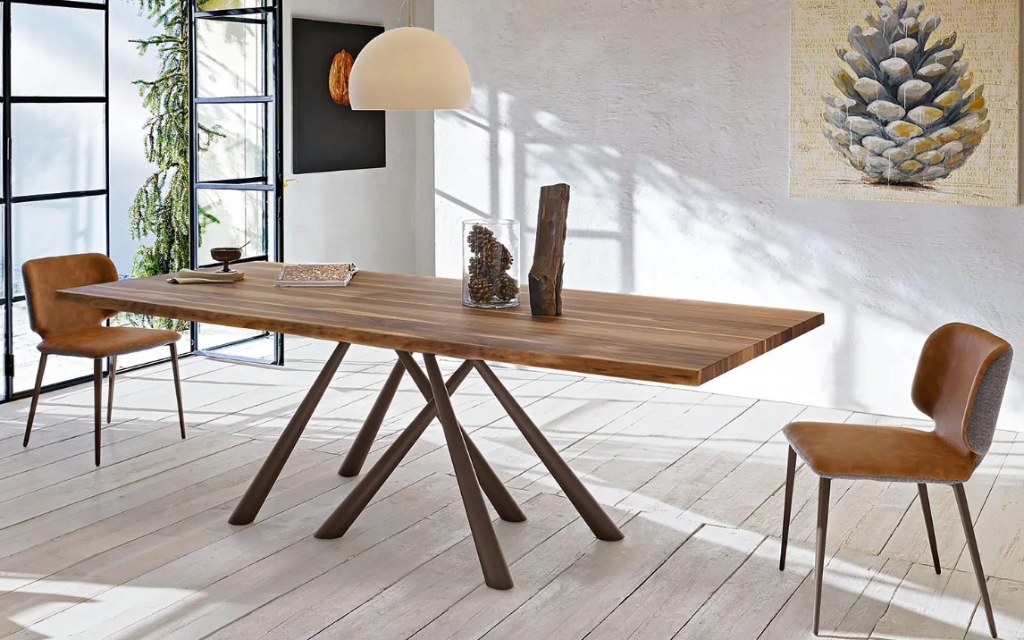 Midj Wrap Dining Chair - Thumbnail 2