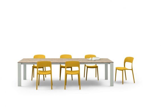 tom_6.jpg
