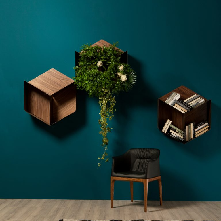 Pangea Shelf - Thumbnail 2