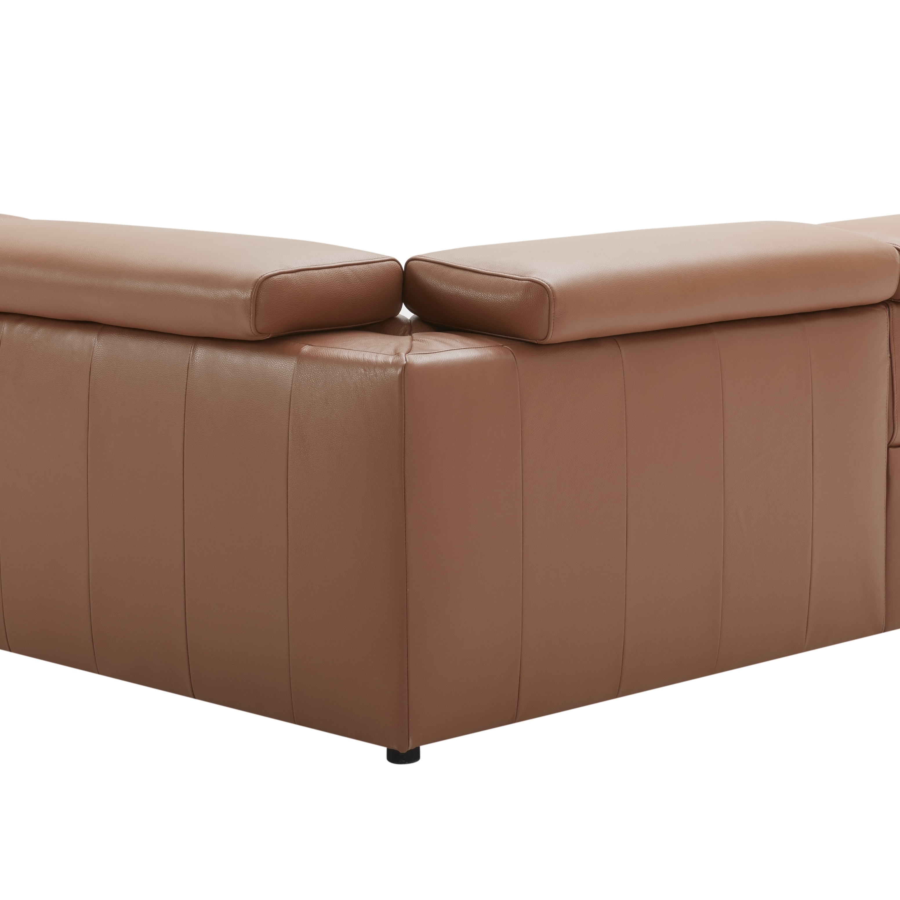 Picasso Caramel Back View.jpg