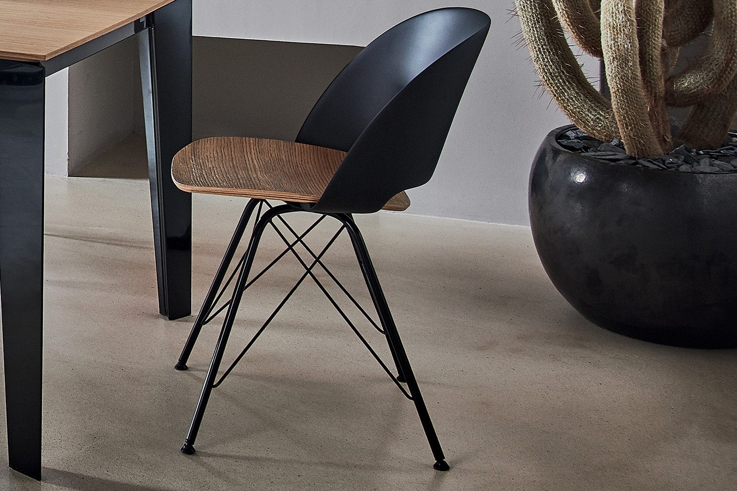 polo-dining-chair-04.jpg
