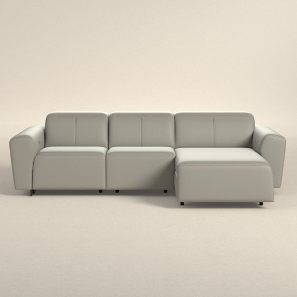0112470_modus-sofa-with-chaise-on-right-side-leather.jpeg