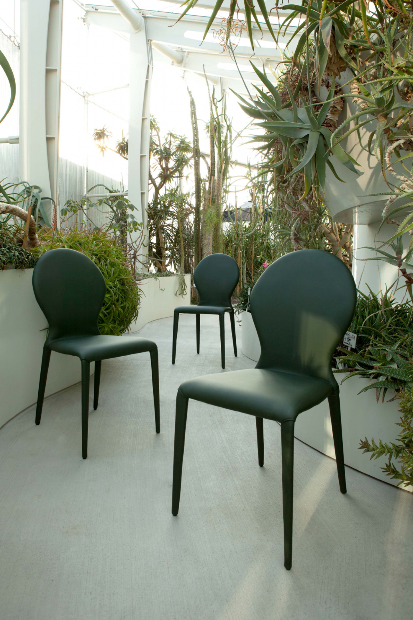 Tonin Casa Zar Dining Chair - Thumbnail 3