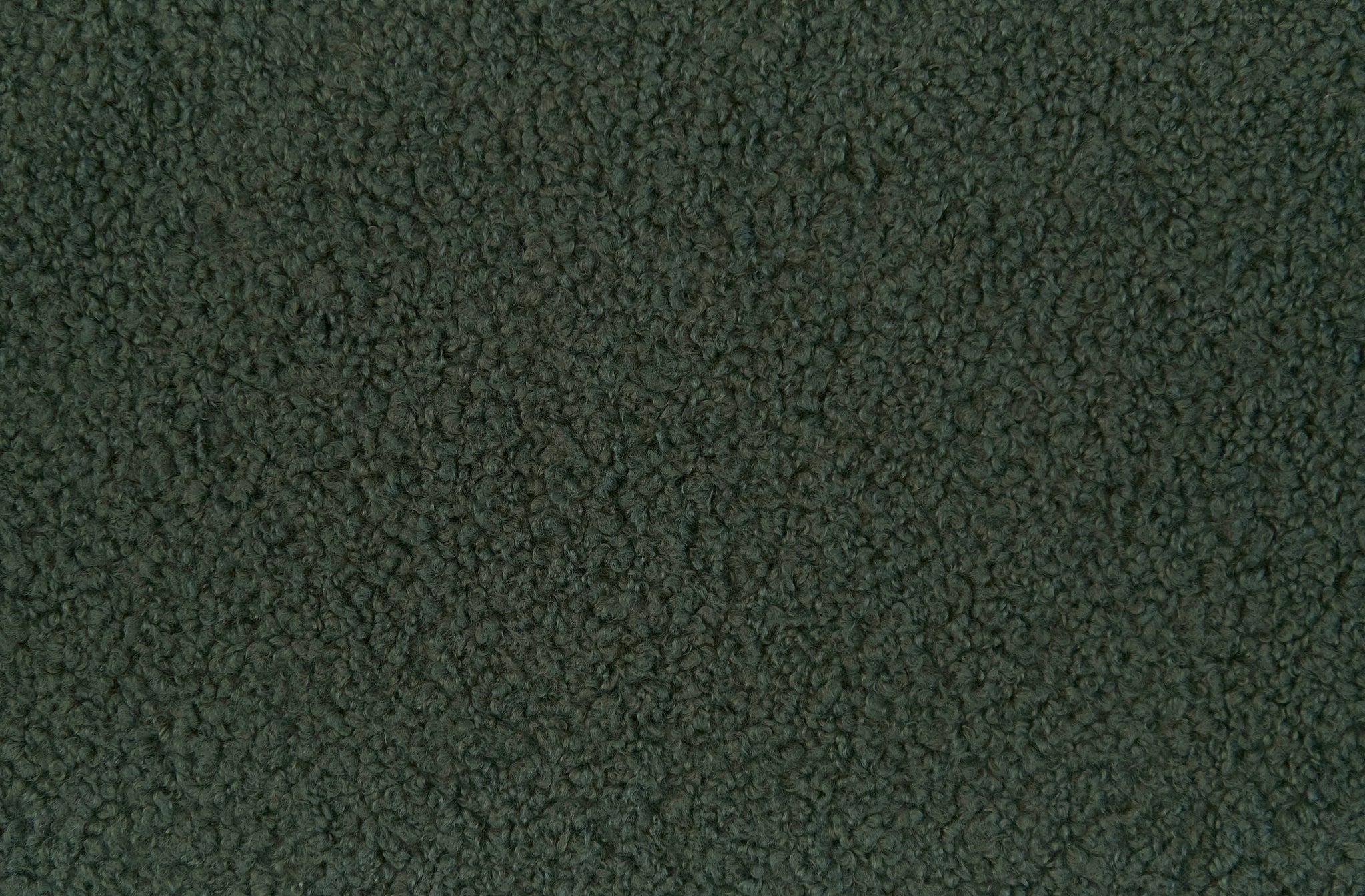 c2.jpg