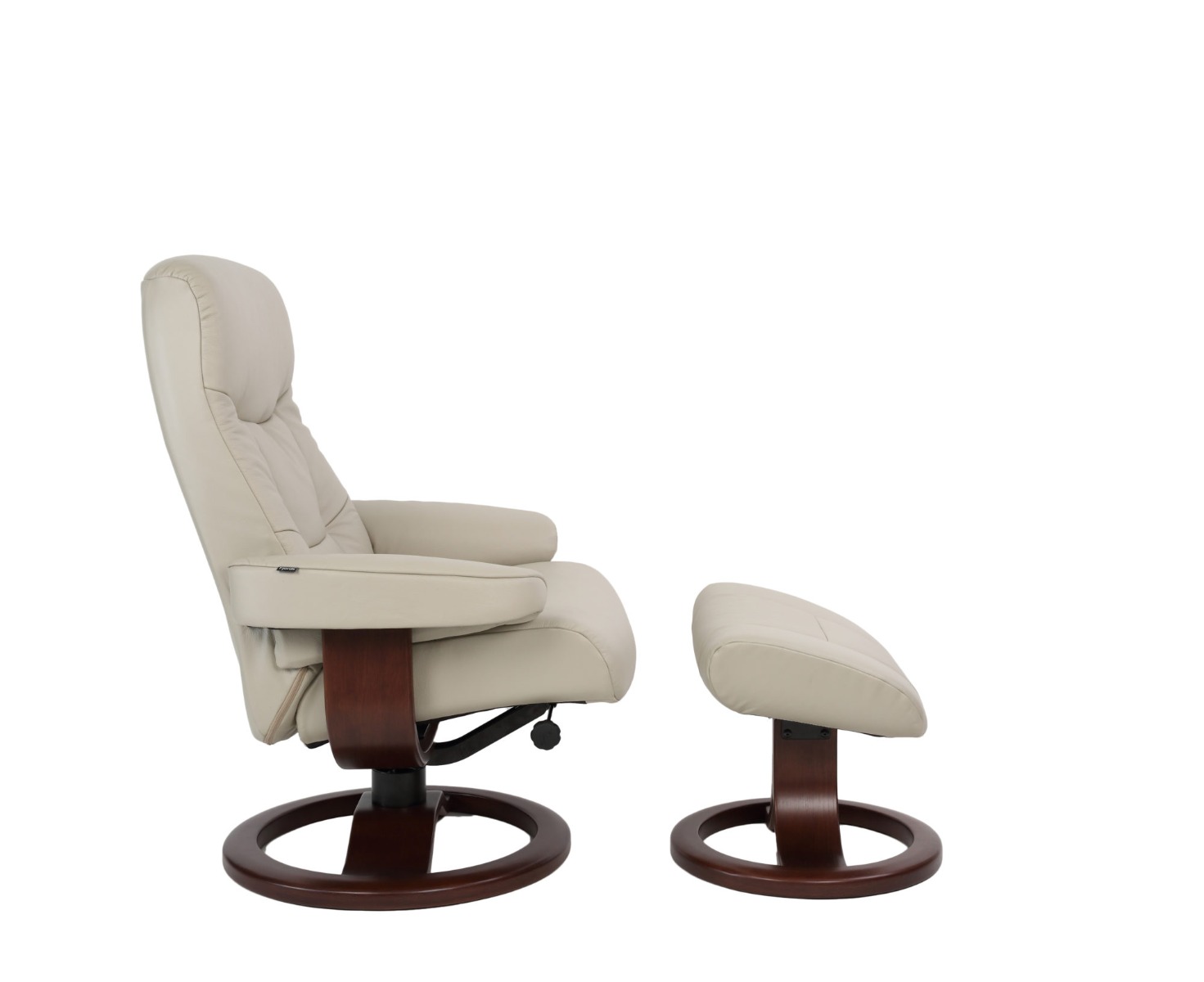 muldal-215-largenl-dove449-dypets-e1525351708925.jpg
