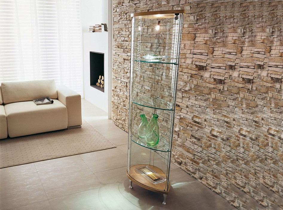 Olivella Curio - Thumbnail 3