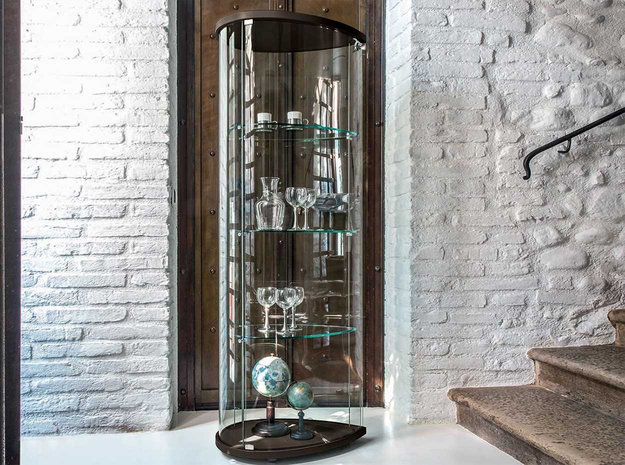 Olivella Curio - Thumbnail 5