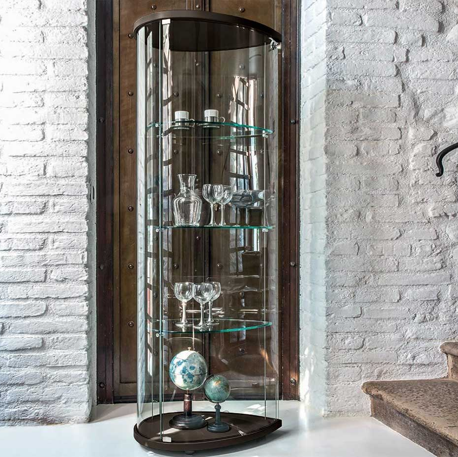 Olivella Curio - Thumbnail 4